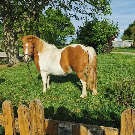 Le Domaine Du Nail Mee