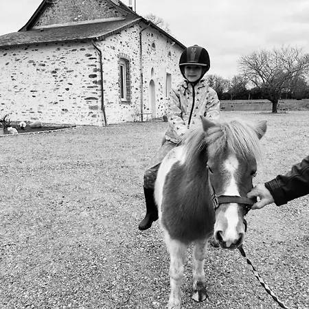 Hébergement de vacances Le Domaine Du Nail Mee