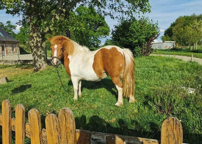 Le Domaine Du Nail Mee